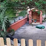 Garden *